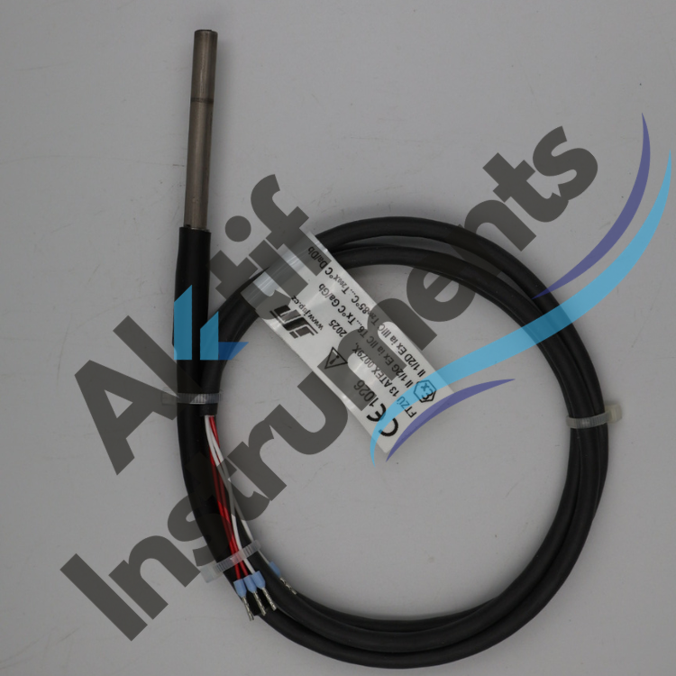 atex - exproof pt100