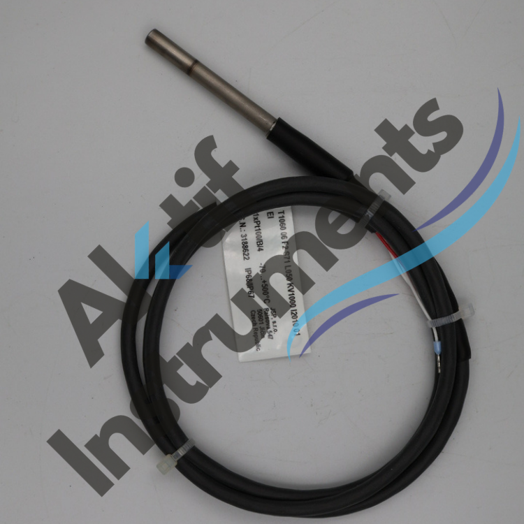 atex - exproof pt100